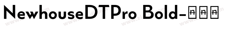 NewhouseDTPro Bold字体转换